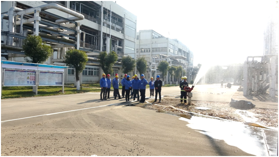 291640763349198779.png image.png