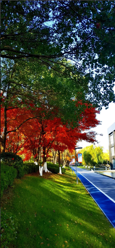 271701043766114191.png image.png