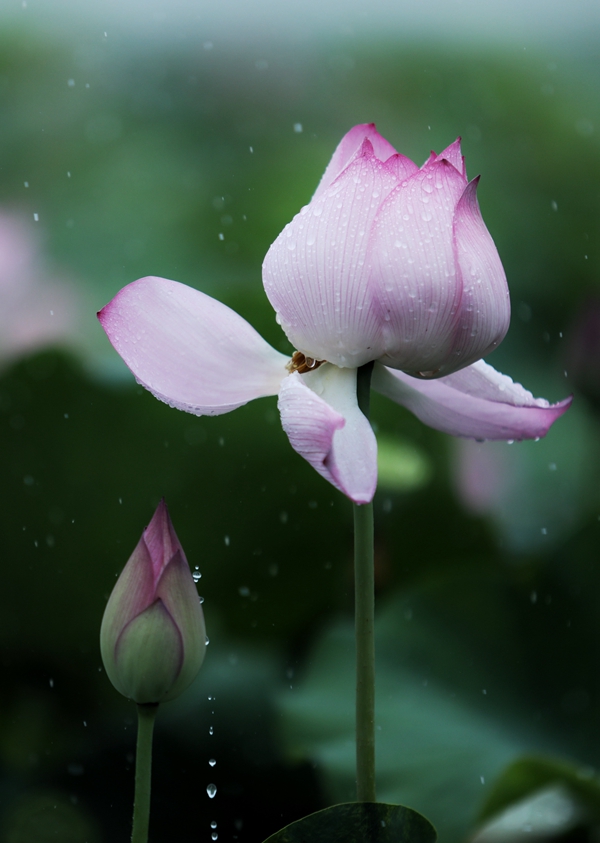 131726192122119768.jpeg 6c4c382631405b445ebb9c1b9d9ac147_20220717175144_68350.jpg